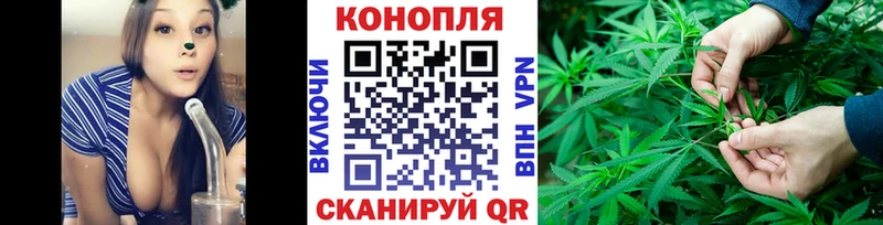 Конопля гибрид  KRAKEN как войти  Верхотурье 